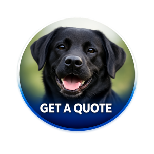 Get a quote
