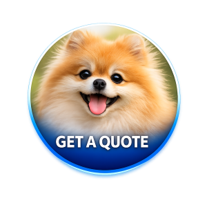 get a quote