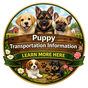 Puppy transportation information